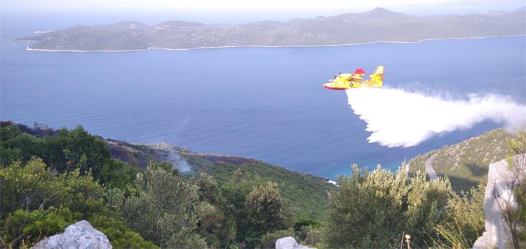 Slika /slike/Veliki zali_N. Ivancevic.jpg